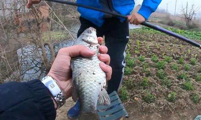 初冬雨天钓鱼技巧有哪些？如何应对初冬雨季的钓鱼挑战？  第2张