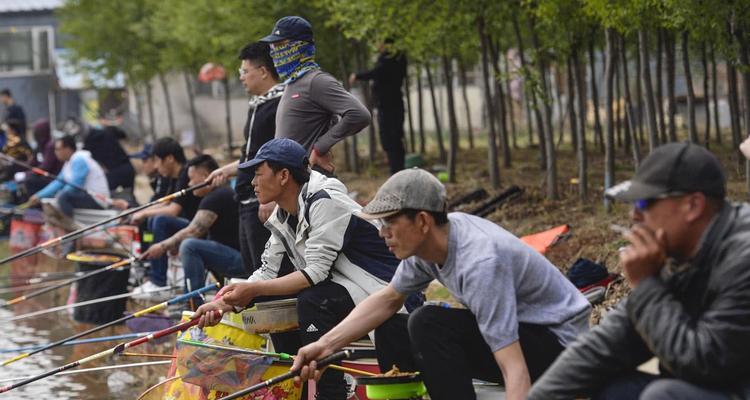 初冬降温雨天钓鱼技巧有哪些？如何应对黑坑钓鱼的挑战？  第2张